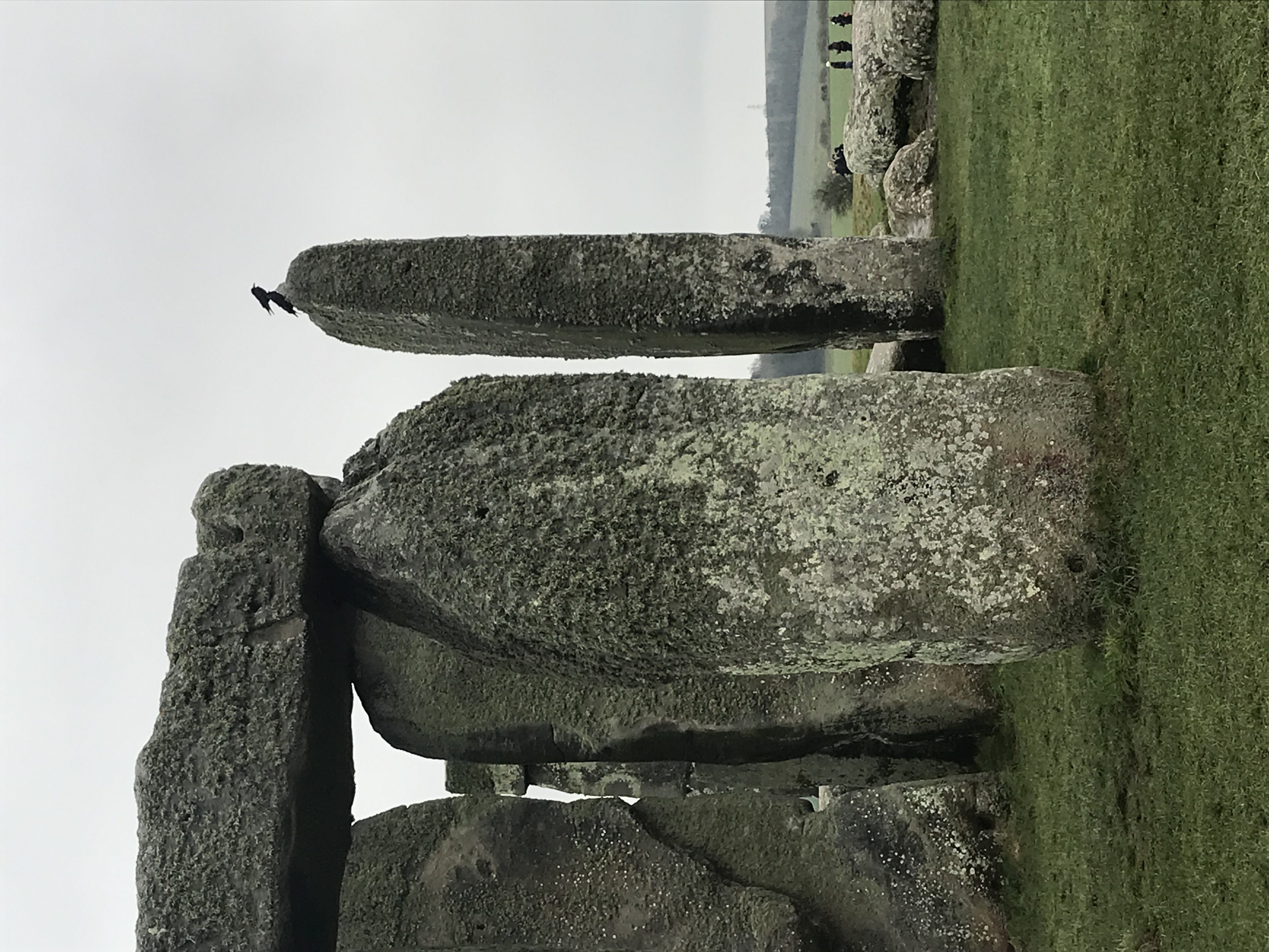 ./2018/15 - London/04 - Day 4/IMG_9309.jpg